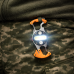 Multifunctional portable light